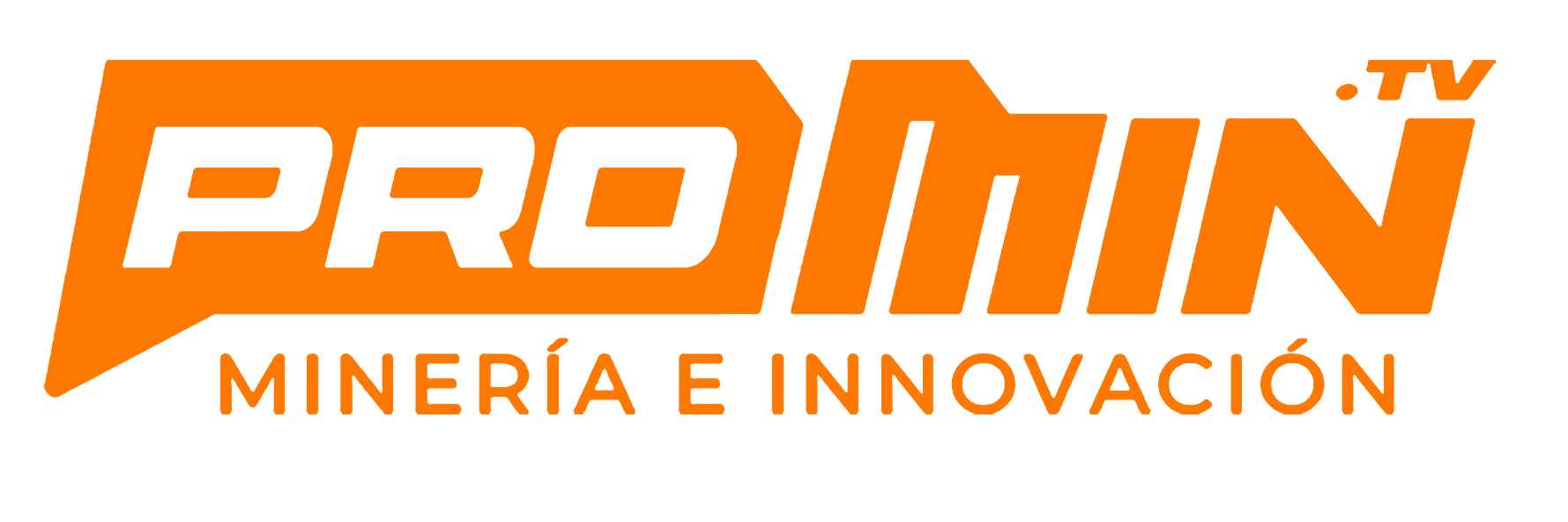 logo promin01